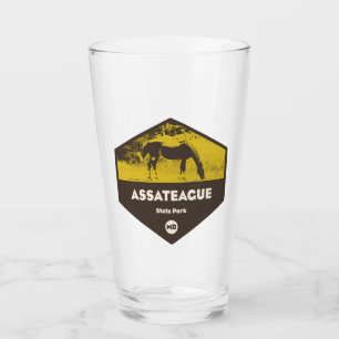 Assateague State Park Maryland Glas