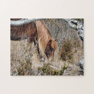 Assateague Wild Horse Jigwaw Puzzle