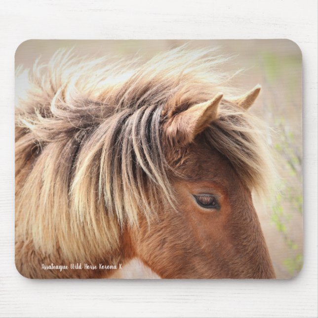 Assateague Wild Horse Mousepad (Vorne)