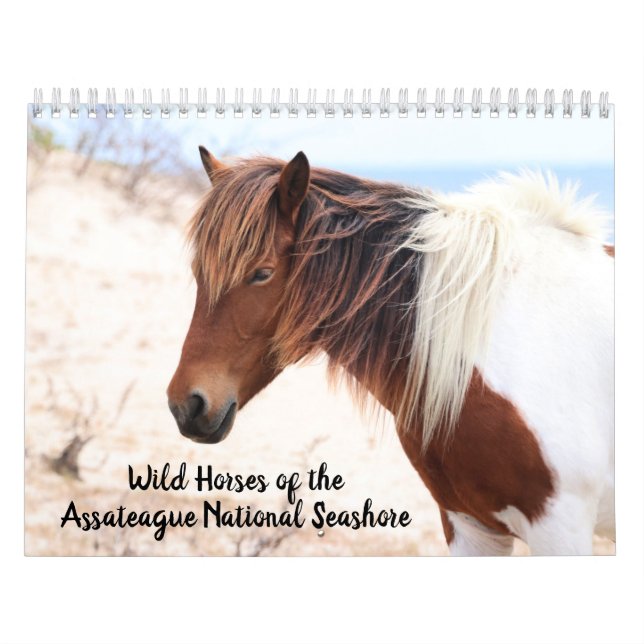 Assateague Wild Horses Calendar Kalender (Titelbild)