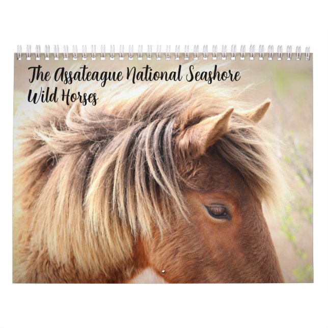 Assateague Wild Horses Calendar Kalender (Titelbild)