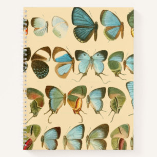 Assorted Butterfly Hardcover Spiral Sketchbook Notizbuch