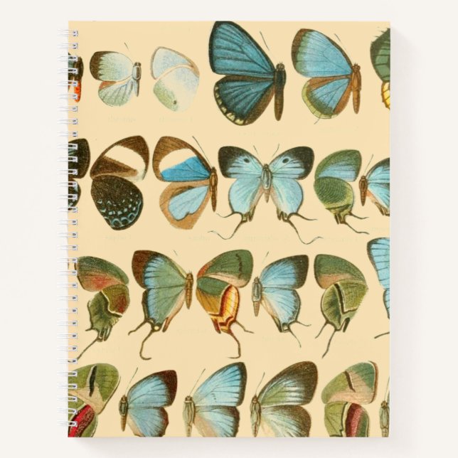Assorted Butterfly Hardcover Spiral Sketchbook Notizbuch (Vorderseite)