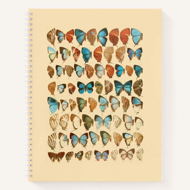 Assorted Butterfly Hardcover Spiral Sketchbook Notizbuch (Vorderseite)