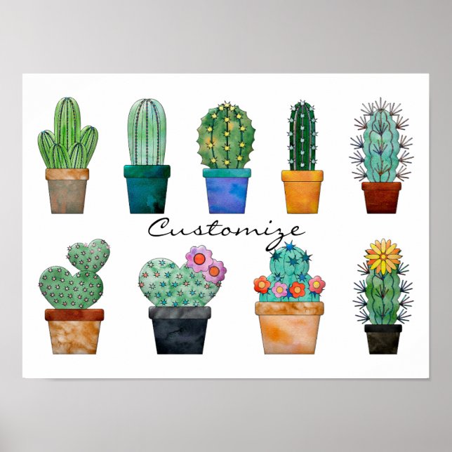 Assorted Cactus Pflanze Thunder_Cove Poster (Vorne)