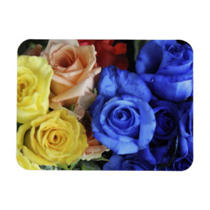 Assorted fresh rose bouquets magnet