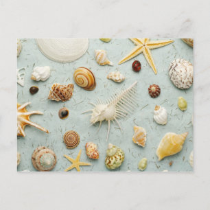 Assortierte Muscheln auf blauem Hintergrund Postkarte