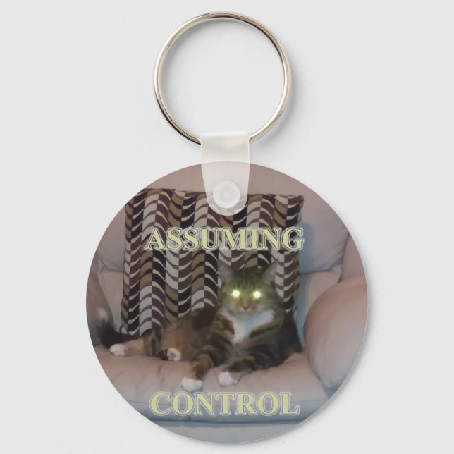 Assuming Control cat keychain Schlüsselanhänger (Vorderseite)