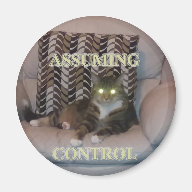 Assuming Control cat magnet (Vorne)