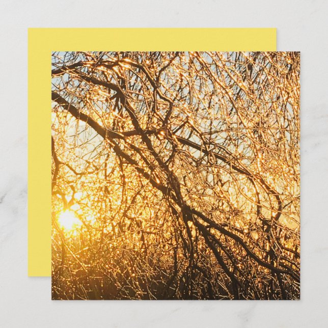 Äste bei Sonnenuntergang Einladung (Vorne/Hinten)