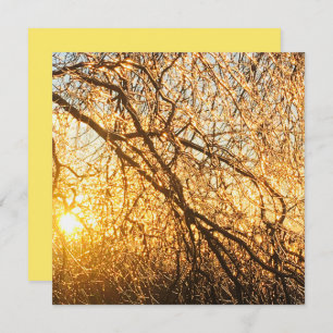 Äste bei Sonnenuntergang Einladung