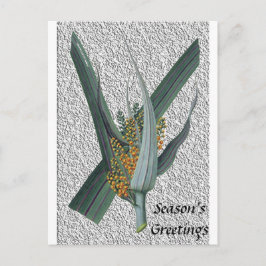 Astelia Nervosa Postkarte