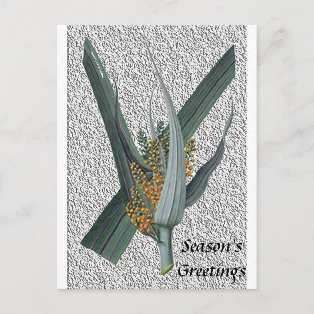 Astelia Nervosa Postkarte (Vorderseite)