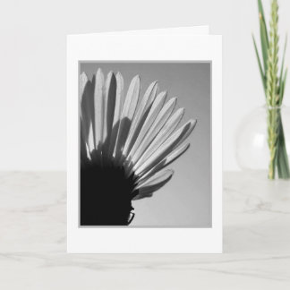 ASTER: A Die Falls . . . Karte