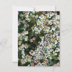 ASTER-BLUME POSTKARTE