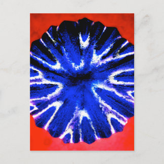 Aster-Blumen-Kunst Postkarte