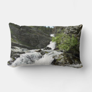 Aster Creek im Glacier National Park Lendenkissen
