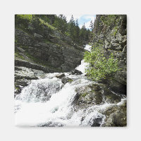Aster Creek im Glacier National Park