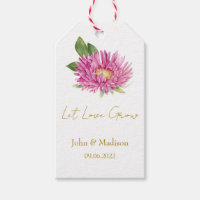 Aster | Lass Liebe Hochzeitssamen wachsen