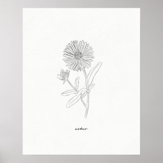 Aster Line Zeichnend Druck - Handgezeichnet Blume Poster