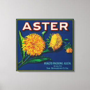 Aster-Marken-Zitrusfrucht-Kisten-Aufkleber Leinwanddruck