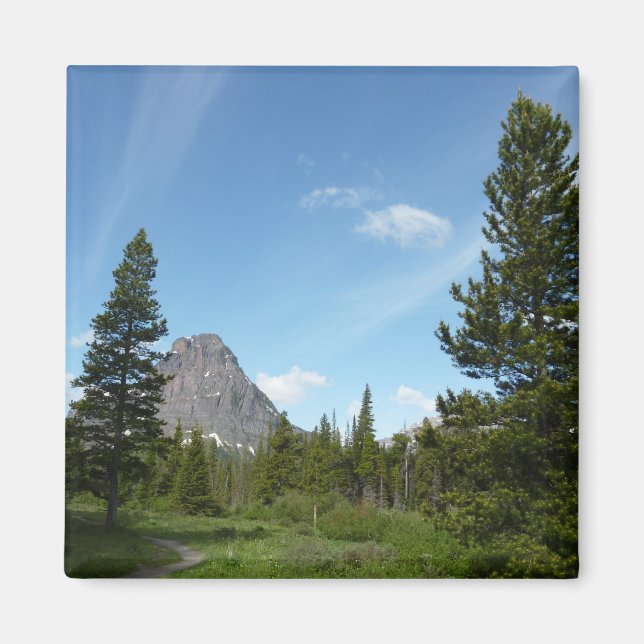 Aster Park Trail am Glacier Nationalpark Magnet (Vorne)