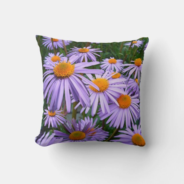 Aster tongolensis ~ Throw PIllow Kissen (Vorderseite)