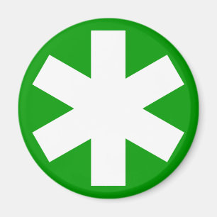 Asterisk - grün magnet