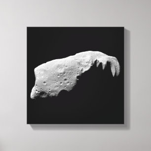Asteroid 243 Ida Leinwanddruck