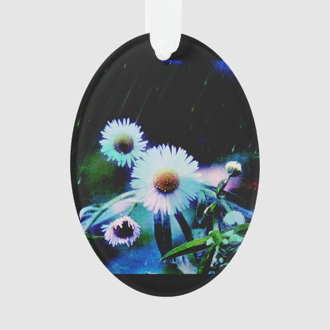 Asters Aglow Oval Ornament (Vorderseite)