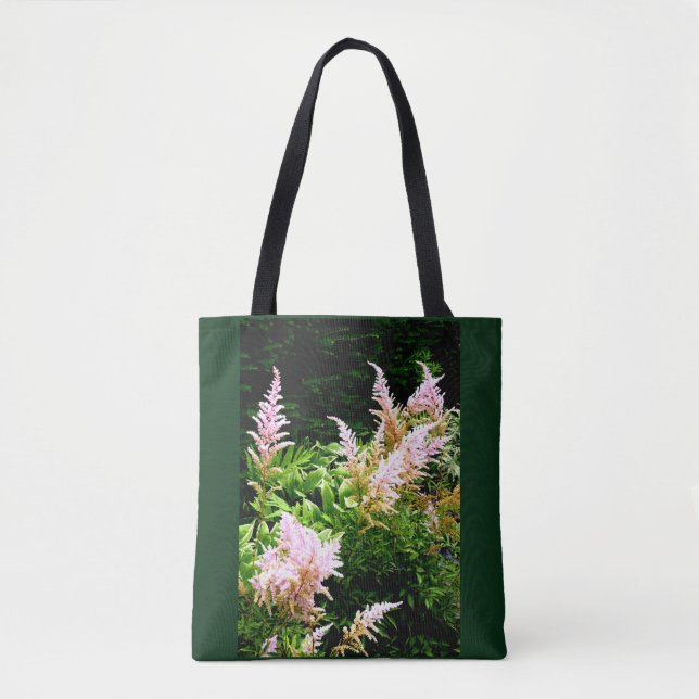 Astilbe (Vorderseite)