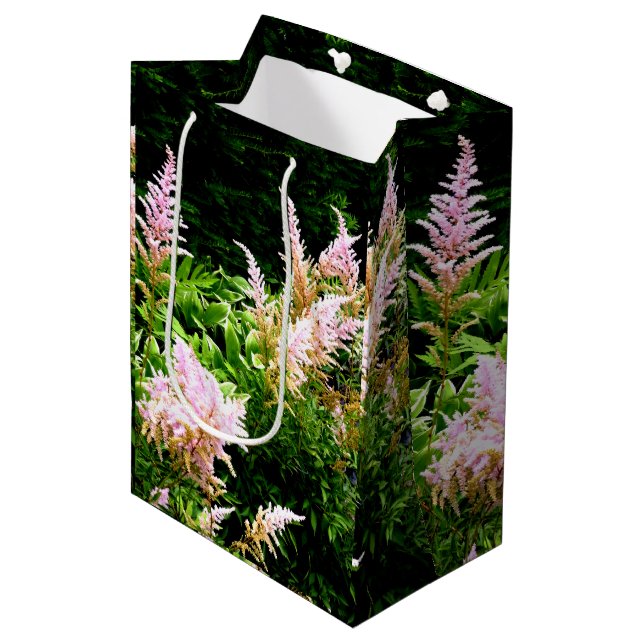 Astilbe Mittlere Geschenktüte (Vorderseite Schrägansicht)