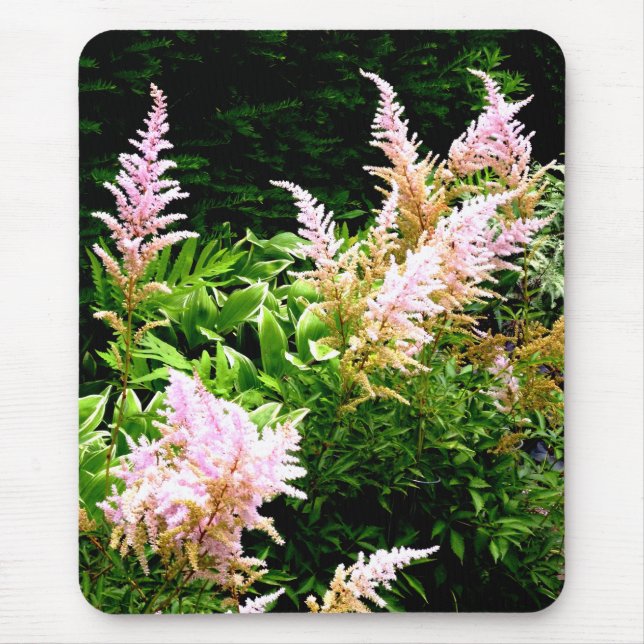 Astilbe Mousepad (Vorne)