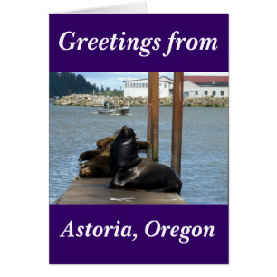 Astoria Oregon Sealions