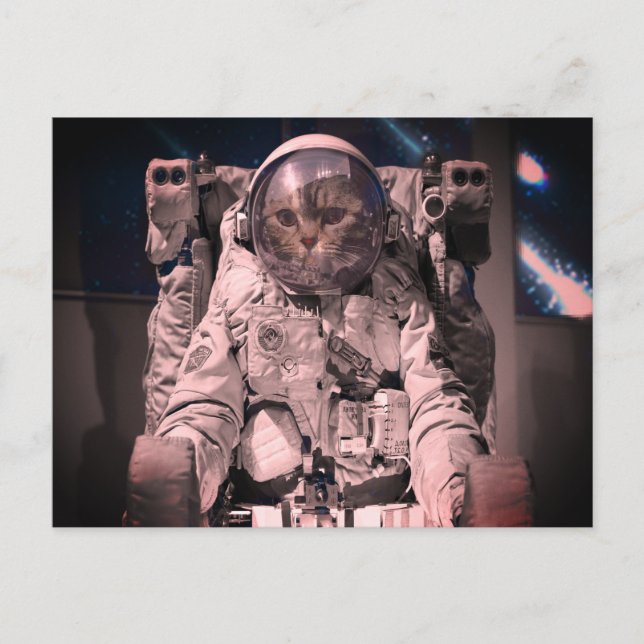 ASTRONAUT CAT RAUM POSTCARD POSTKARTE (Vorderseite)