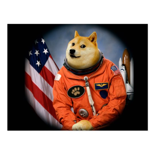 Astronautenhund Doge Shibe Doge Memes Postkarte Zazzle At