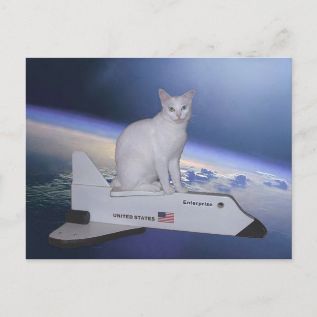 Astronautenkatze (Spirit) auf Raumfähre Postkarte (Vorderseite)