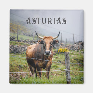 Asturias Bergkuh-Reise Magnet