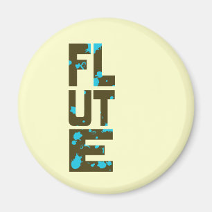 Asymmetrisches Flutmagnet Magnet