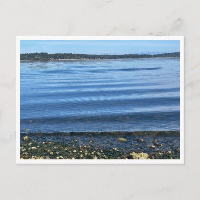 At the water postkarte (Vorderseite)