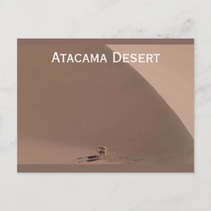 Atacama Wüste, Chile Postkarte