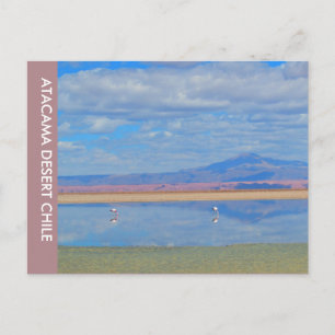 Atacama Wüste, Chile Postkarte