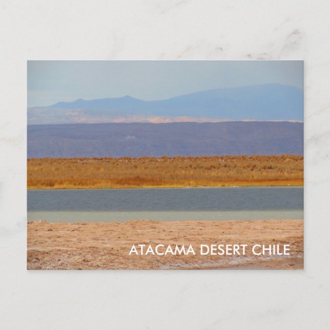 Atacama Wüste, Chile-Postkarte Postkarte (Vorderseite)