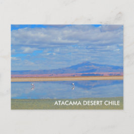 Atacama Wüste, Flamingo Chile Postcard Postkarte
