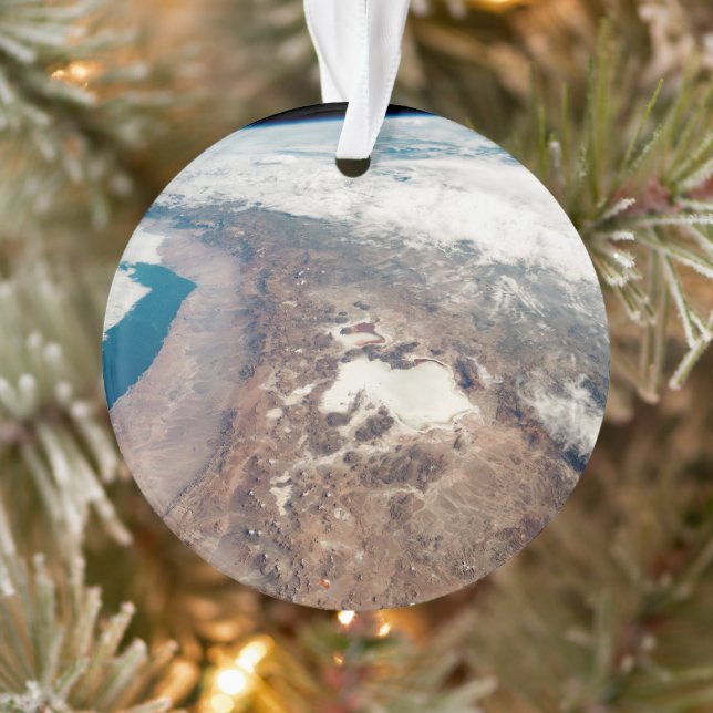 Atacama Wüste und Salzfladen in den Anden Ornament (Baum)