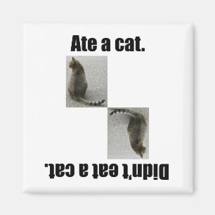 Ate eine Katze. Magnet