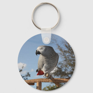 Atemberaubend-Afrikanischer Grauer Papagei Schlüsselanhänger