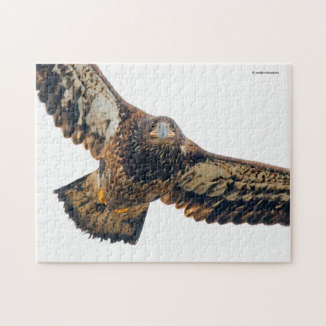 Atemberaubend Bald Adler macht einen Flyover Puzzle (Horizontal)