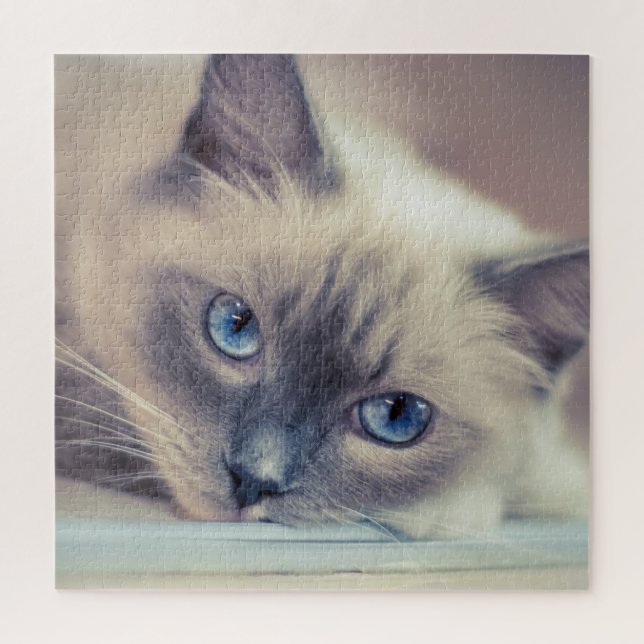 Atemberaubend Blue Mit Augen Ragdoll ‎ Cat Puzzle (Vertikal)