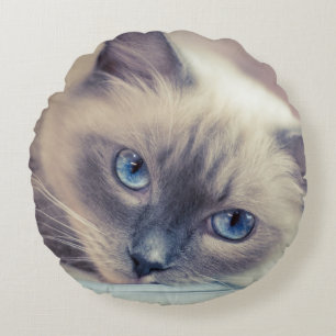 Atemberaubend Blue Mit Augen Ragdoll ‎ Cat Rundes Kissen